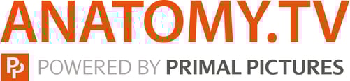 Anatomy-TV-logo-large