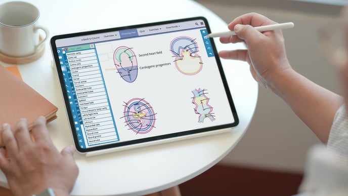 Website Image - Medical Education Page - Tab Content Module - Ditki Tablet Mockup